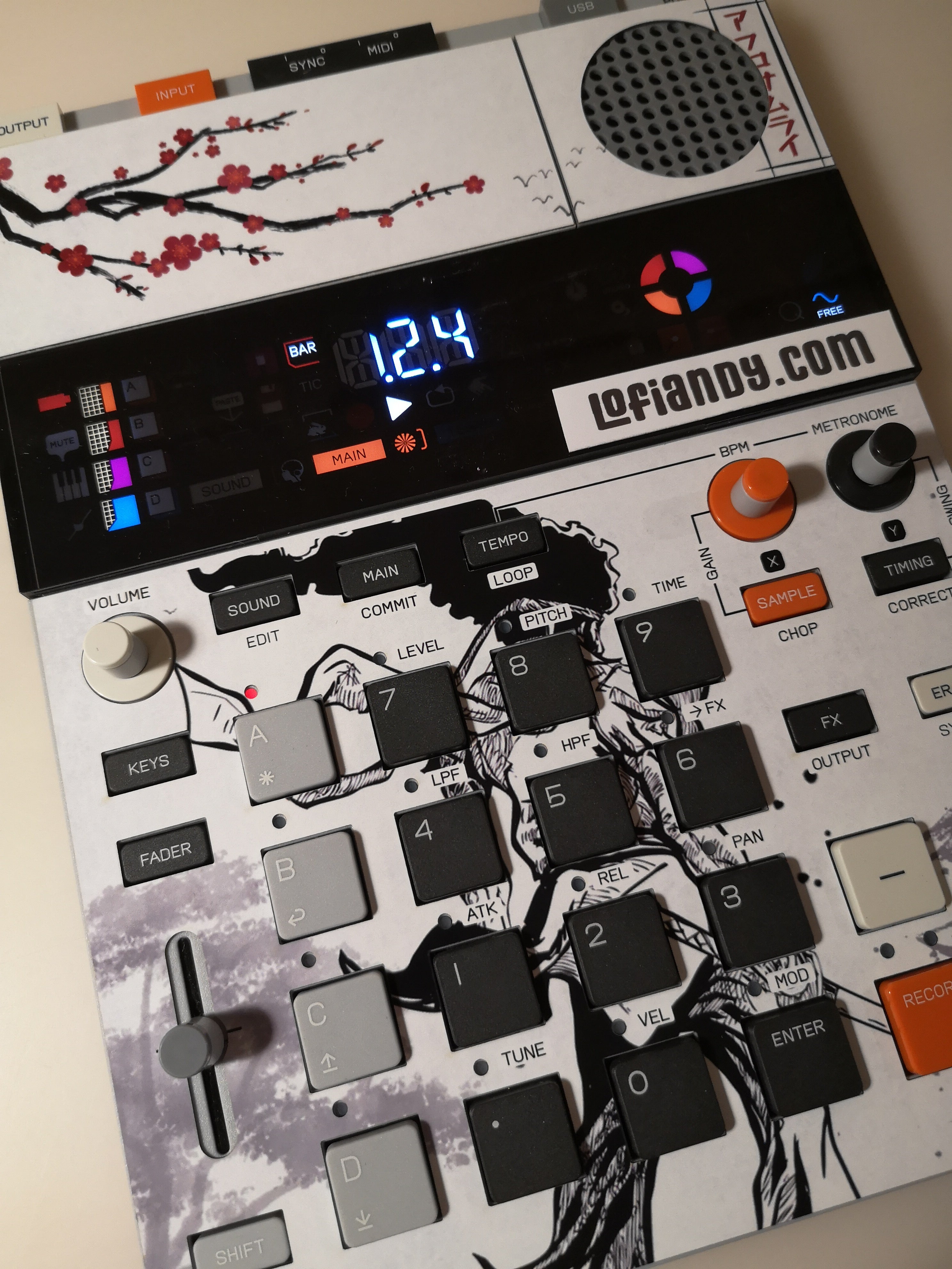 Afro Samurai - TE EP-133 K.O.II Skin