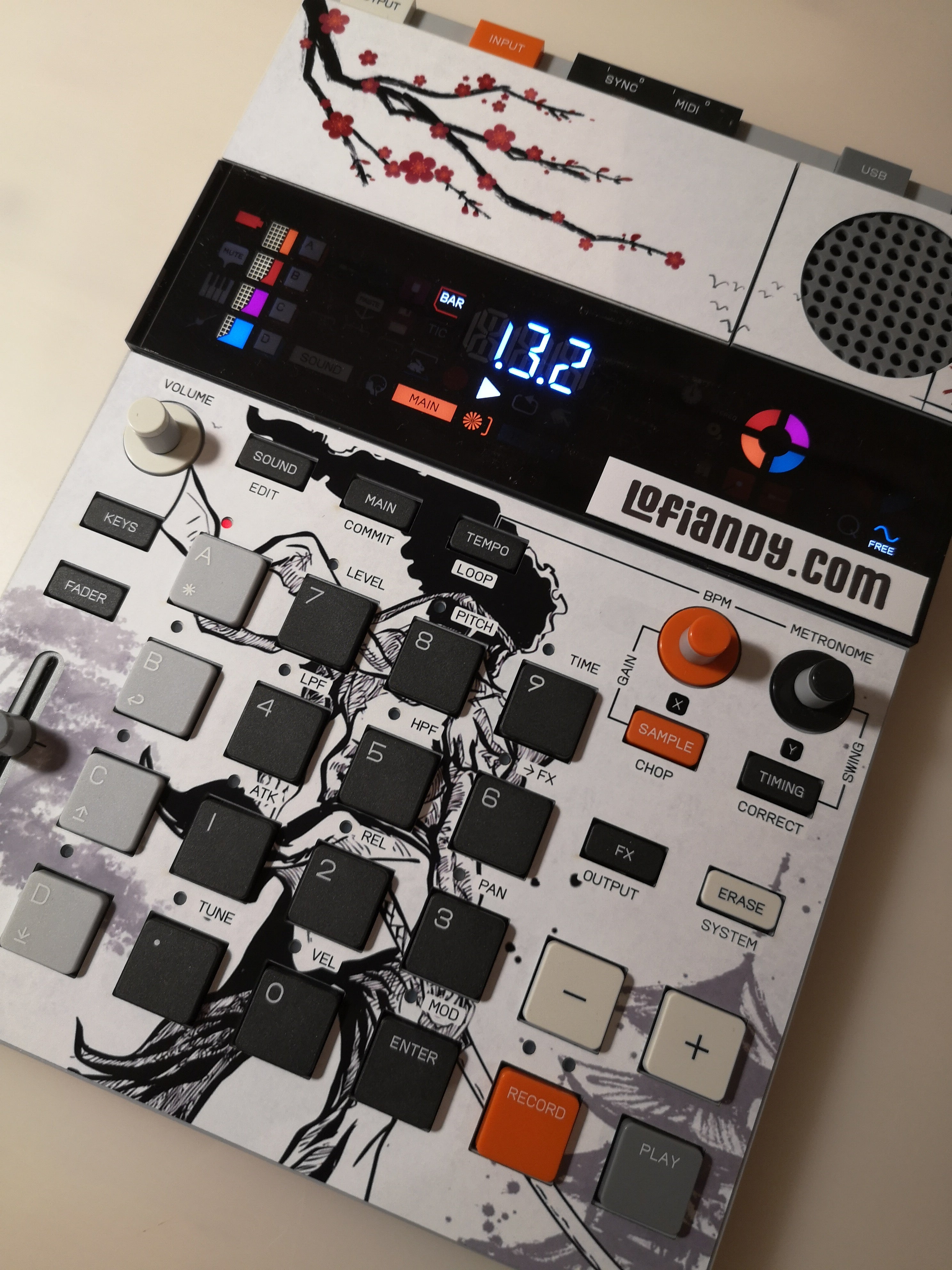 Afro Samurai - TE EP-133 K.O.II Skin